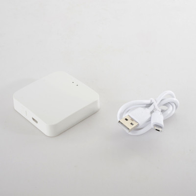 WI-FI конвертер Crystal Lux CLT 0.203 12