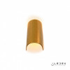 Бра iLedex ZD8077-6W Gold