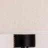 Торшер с полкой Arte Lamp Combo A9202PN-1BK