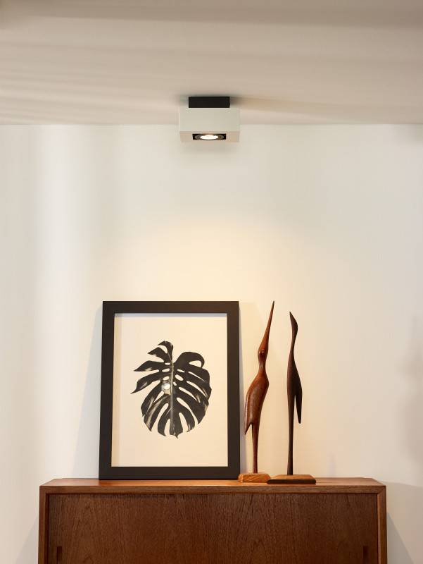 Накладной светильник LUCIDE 09119/06/31