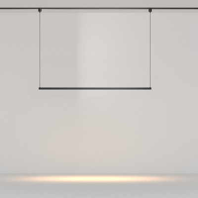 Светильник на шине Maytoni Technical TR170-1-52W3K-B