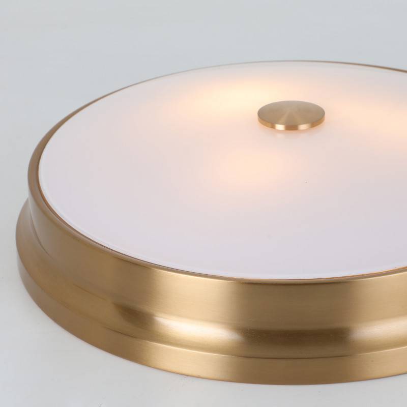 Накладной светильник Favourite 2375-3C