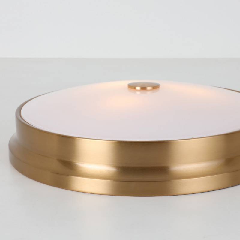 Накладной светильник Favourite 2375-3C