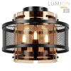 Накладная люстра LUMION 8007/3C