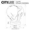 Настольная лампа Citilux CL247087