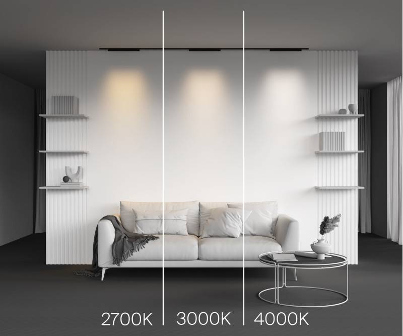 Светильник на шине Maytoni Technical TR193-1-20W2.7K-M-B