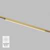 Светильник на шине Denkirs DK5752-SB