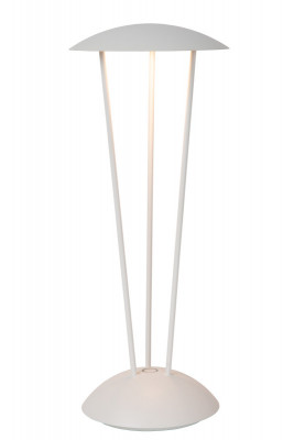 Настольная лампа LUCIDE 27504/02/31