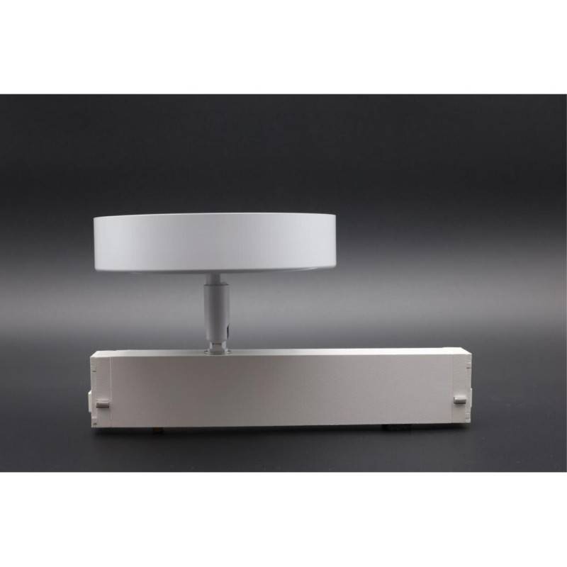 Светильник на шине APLOYT APL.0213.10.24