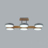Люстра на штанге Lumion Plato 8031/108CL