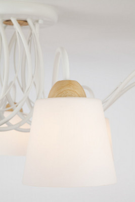 Накладная люстра Eurosvet 70062/8 белый