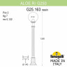 Наземный высокий светильник Fumagalli Globe 250 G25.163.000.WXE27