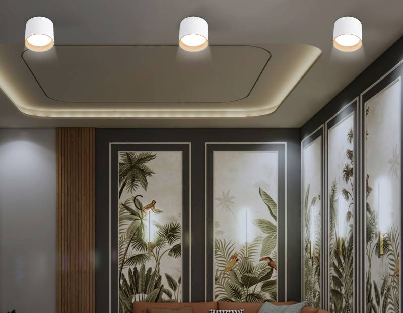 Накладной светильник Ambrella Light TN5304