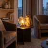 Настольная лампа Citilux CL247088