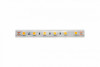 Лента DesignLed DSG560-24-WW-65