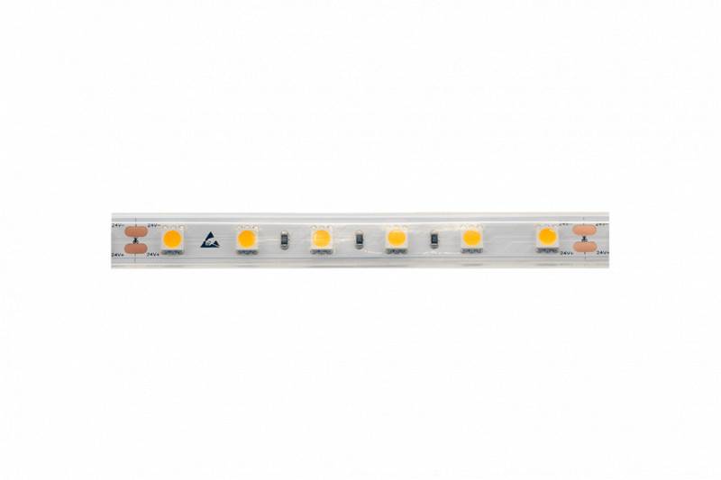 Лента DesignLed DSG560-24-WW-65