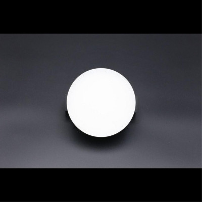 Светильник на шине APLOYT APL.0128.00.09