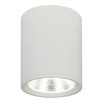 Накладной светильник Escada 20003SMU/02LED SWH