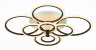 Потолочная люстра EVOLED Cerina SLE500542-08RGB