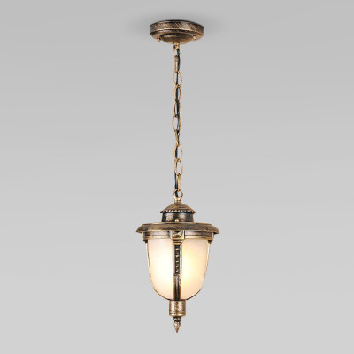 Подвесной уличный светильник Elektrostandard Atlas H (GLYF-2010H) черное золото