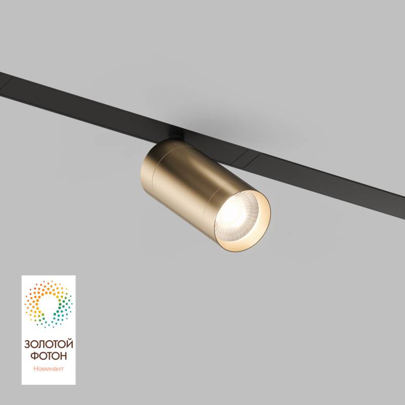 Светильник на шине Denkirs DK8010-BG