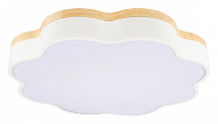 Накладной светильник Loft it Axel 10225/36 White