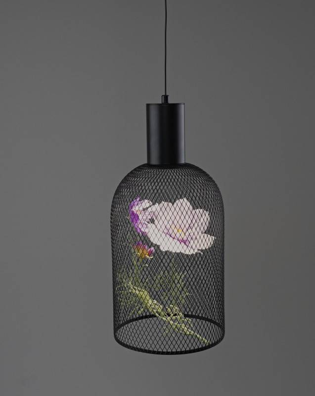 Подвесной светильник Moderli V11874-PL