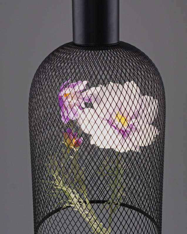 Подвесной светильник Moderli V11874-PL