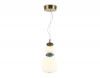 Подвесной светильник Ambrella Light LH53162