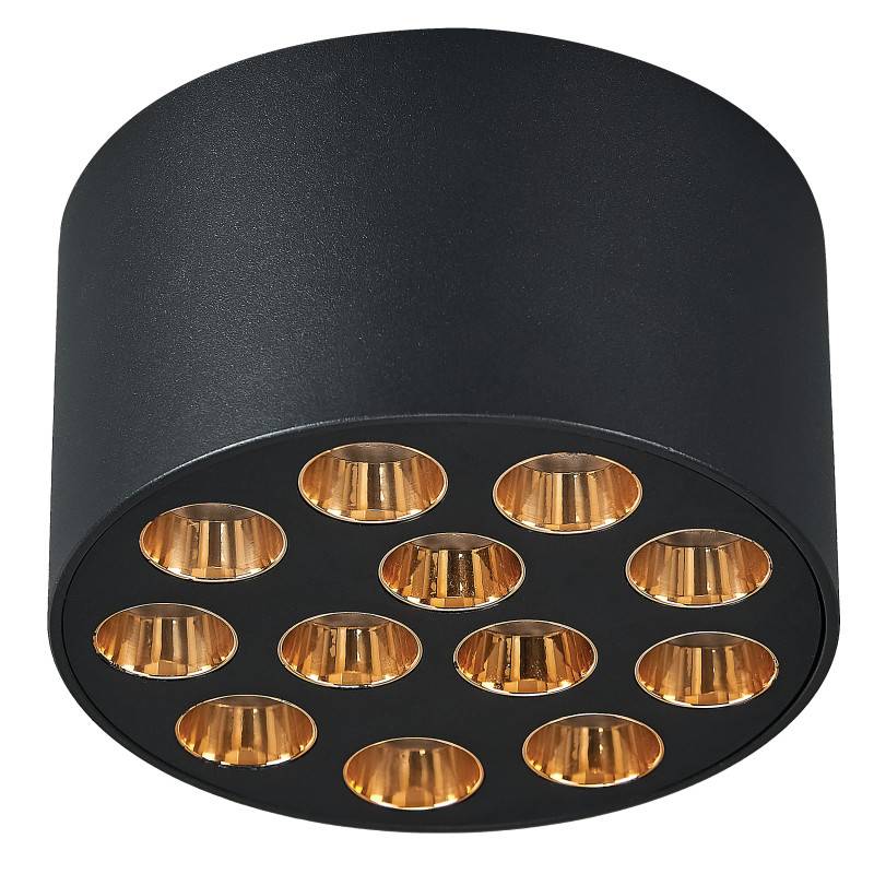 Накладной светильник Lightstar 080942