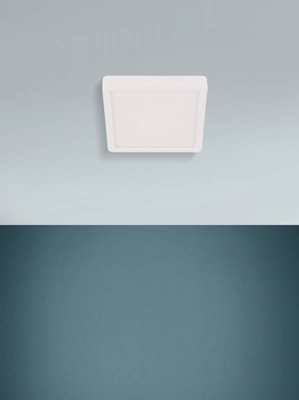 Накладной светильник EGLO 30893