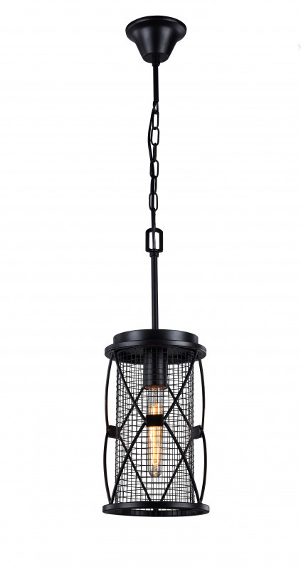 Подвесной светильник Favourite 1783-1P