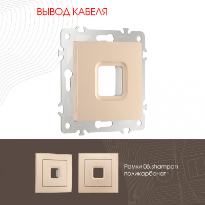 Arte Milano 206.49-1.shampan