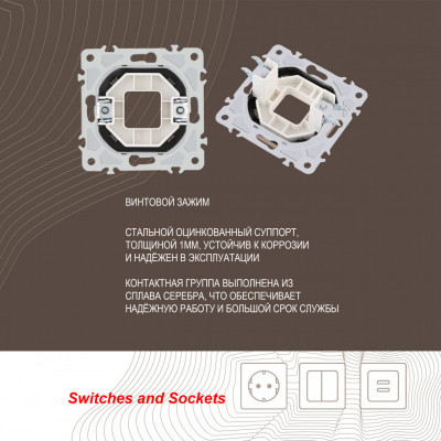 Arte Milano 206.49-1.shampan