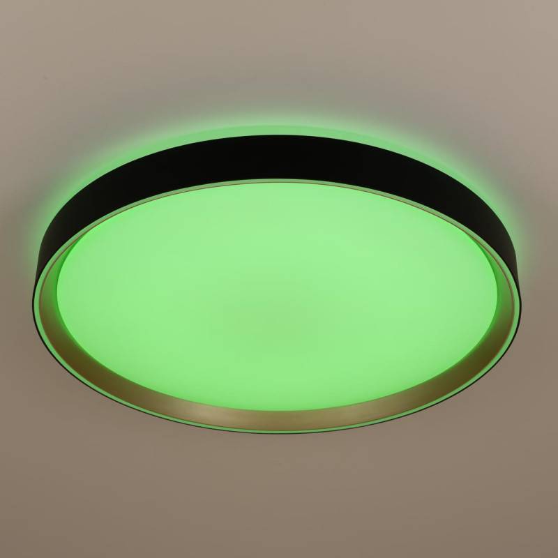 Накладной светильник Citilux CL751451G