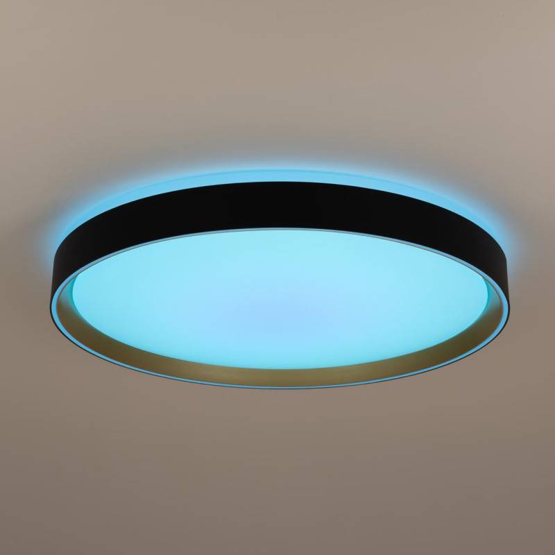 Накладной светильник Citilux CL751451G