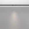 Светильник на шине Maytoni Technical TR100-2-2W4K-S-B