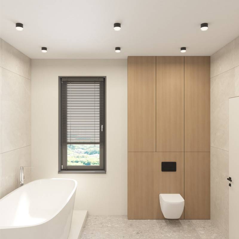 Влагозащищенный светильник Denkirs DK-DH2610-BK