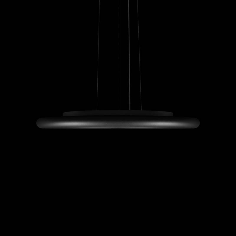 Подвесной светильник LOFT IT 10454/400P Black