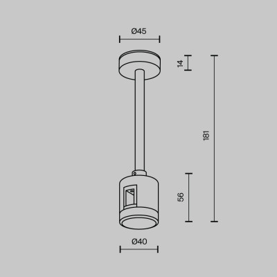 Стойка Maytoni Technical TRA156C-IPCL1-BS
