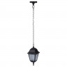 Подвесной светильник Arte Lamp Bremen A1015SO-1BK