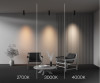 Спот Maytoni Technical C055CL-L20W2.7-3-4K-M-B