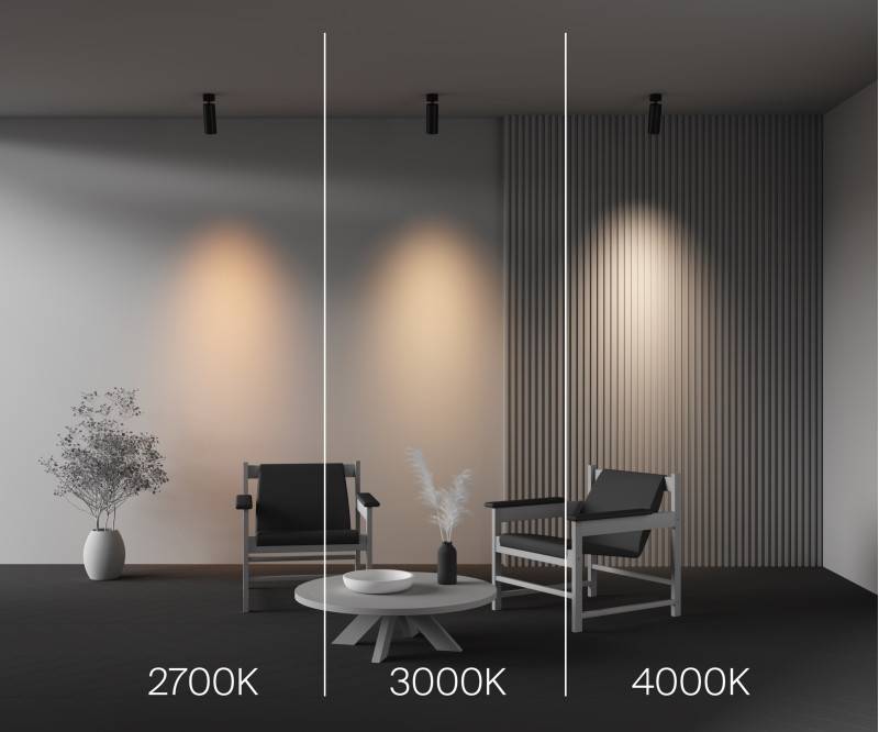 Спот Maytoni Technical C055CL-L20W2.7-3-4K-M-B