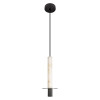 Подвесной светильник LOFT IT 10475B Black