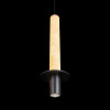 Подвесной светильник LOFT IT 10475B Black