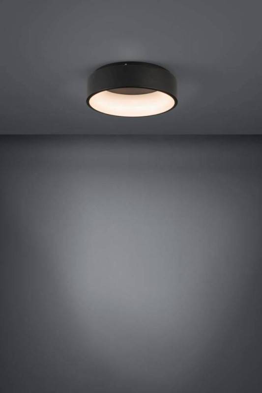 Накладной светильник EGLO 390049