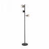 Торшер EVOLUCE Lacotta SLE154905-03