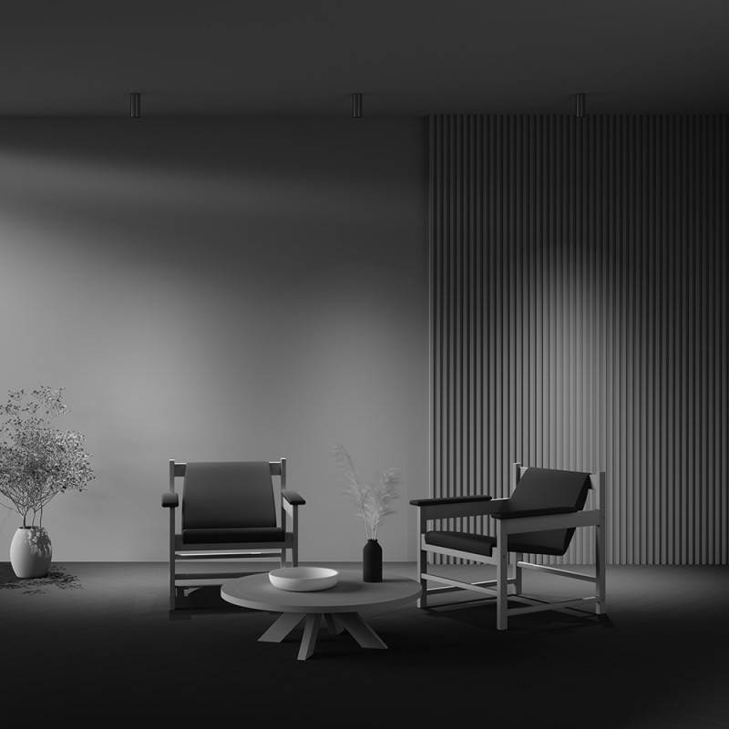 Накладной светильник Maytoni Technical C056CL-L12W4K-W-PT