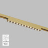 Светильник на шине Denkirs DK5771-SB