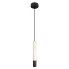Подвесной светильник LOFT IT 10475C Black